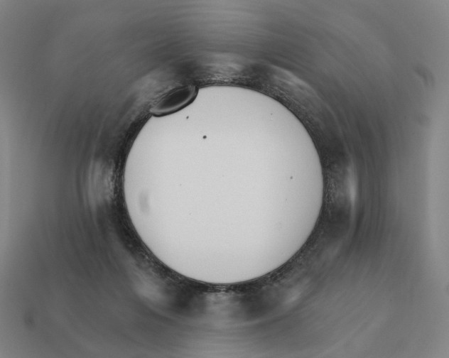 X0000111930216200909071245