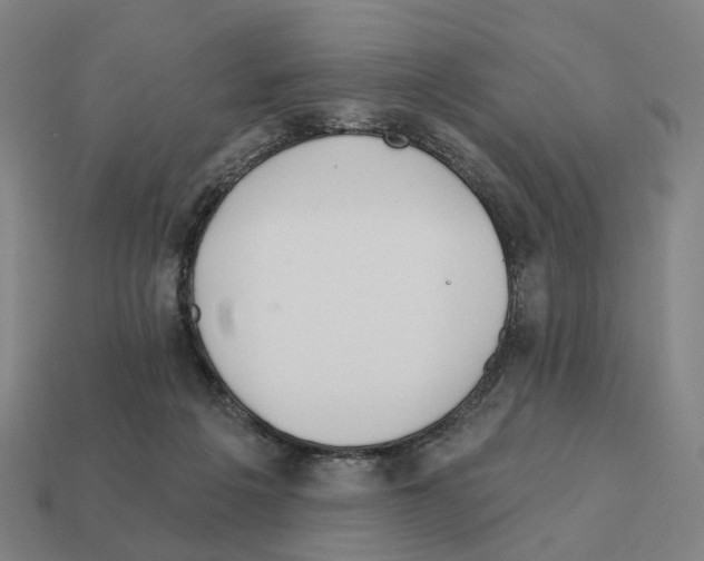 X0000111930217200909071245