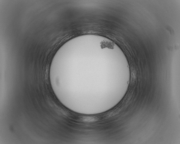 X0000111930218200909071245