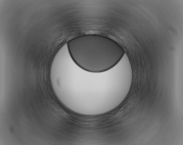 X0000111930219200909071245