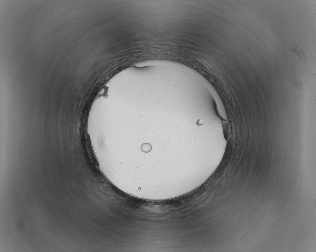 X0000111930221200909071245