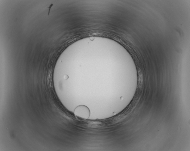 X0000111930222200909071245