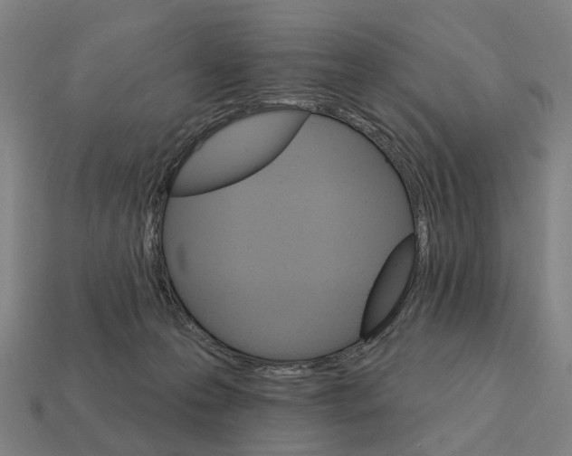 X0000111930223200909071245