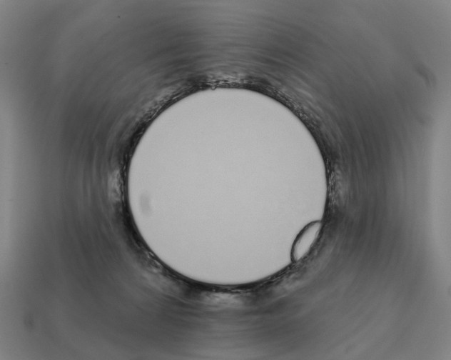 X0000111930224200909071245