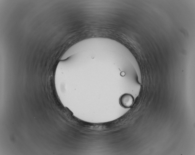 X0000111930225200909071245