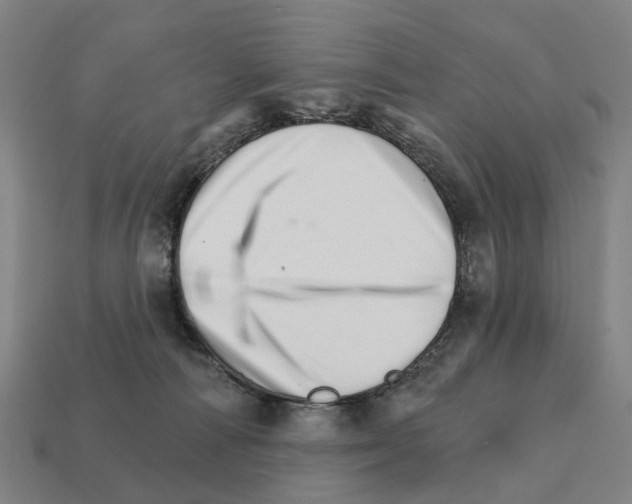 X0000111930226200909071245