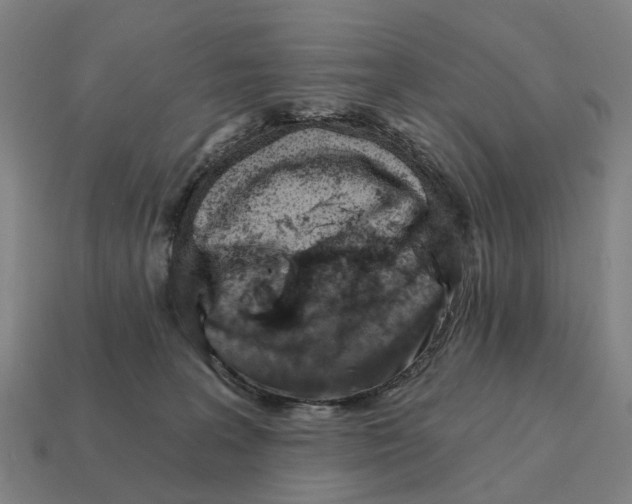 X0000111930227200909071245