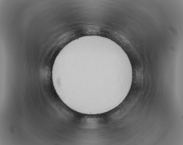 X0000111930228200909071245