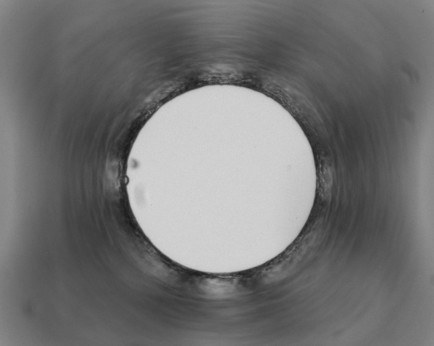 X0000111930232200909071245