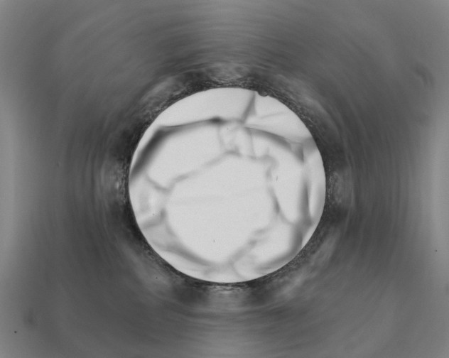 X0000111930234200909071245