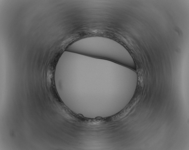 X0000111930235200909071245