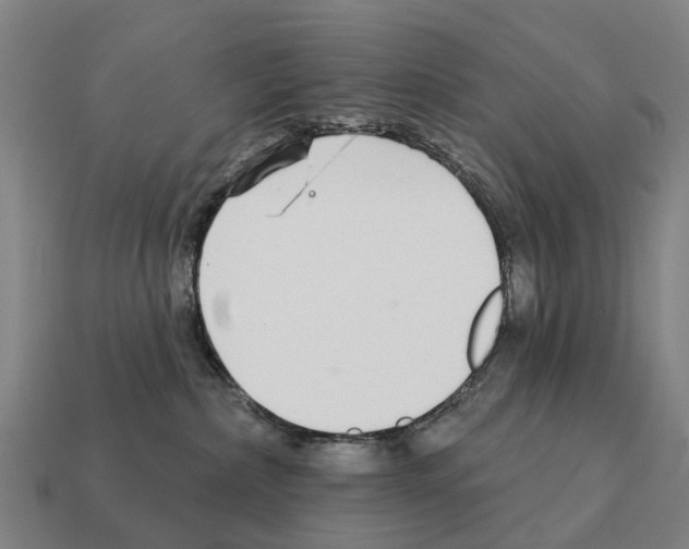 X0000111930236200909071245