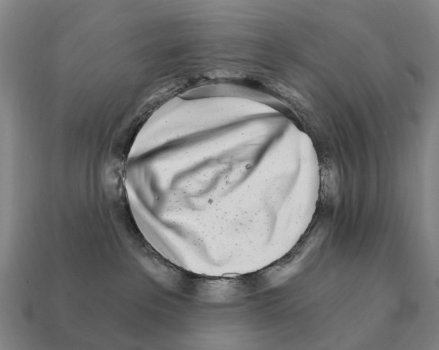 X0000111930237200909071245