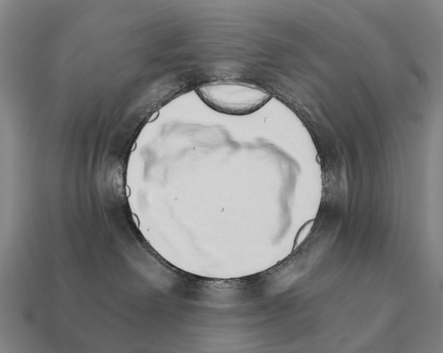 X0000111930238200909071245