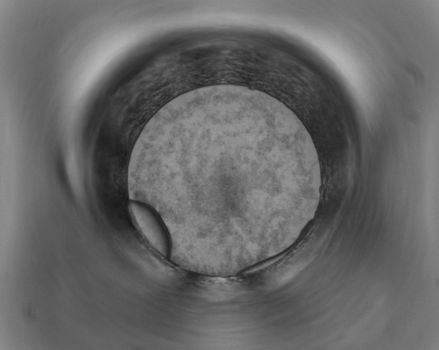 X0000111930239200909071245