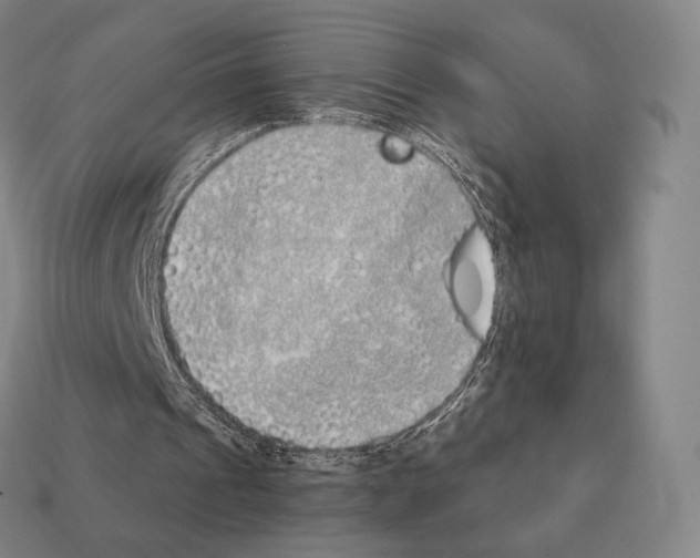 X0000111930241200909071244