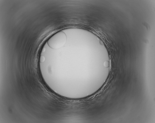 X0000111930243200909071244