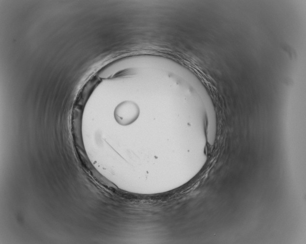 X0000111930244200909071244