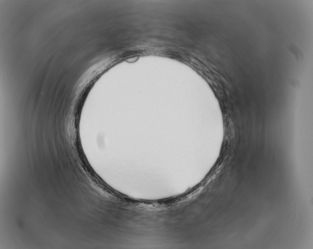 X0000111930245200909071244