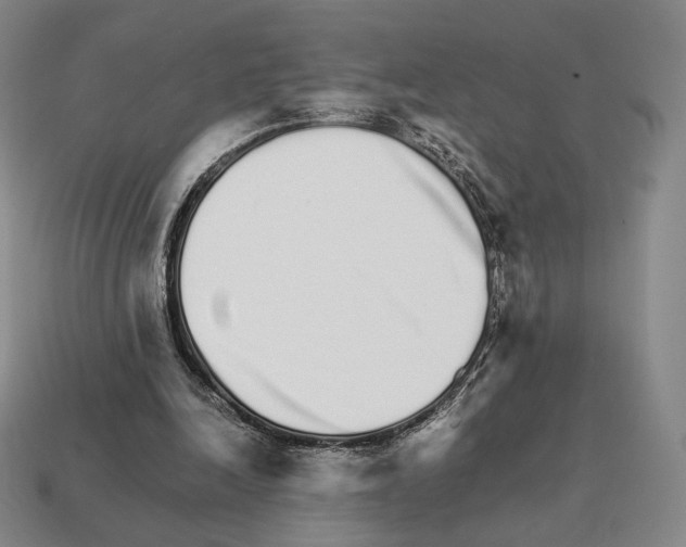 X0000111930246200909071244