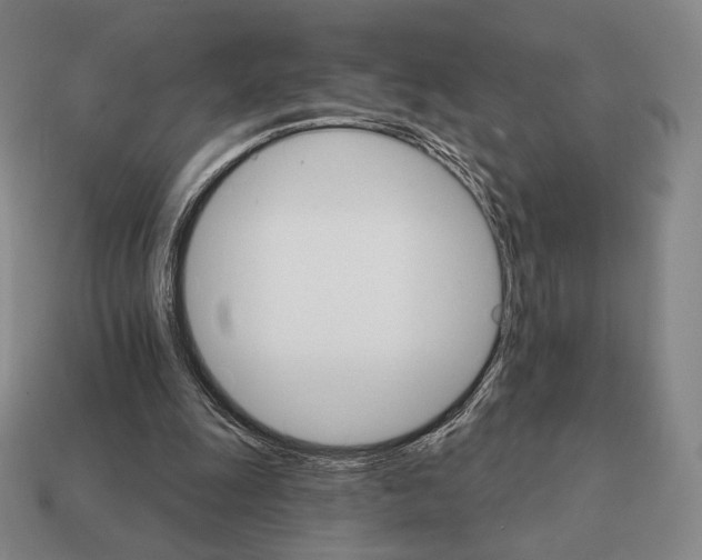 X0000111930247200909071244