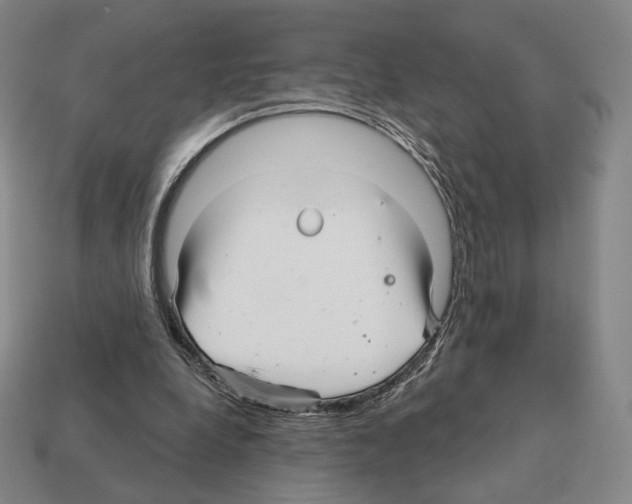 X0000111930248200909071244