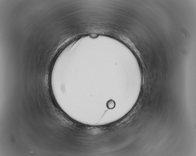 X0000111930249200909071244