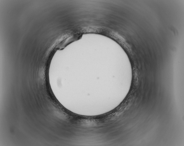 X0000111930250200909071244