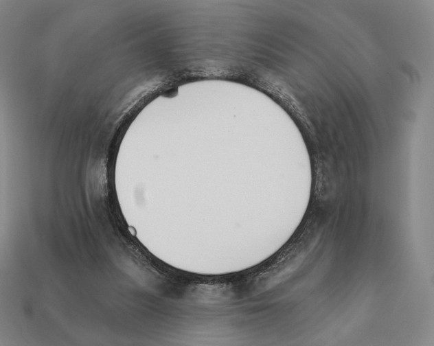 X0000111930251200909071244