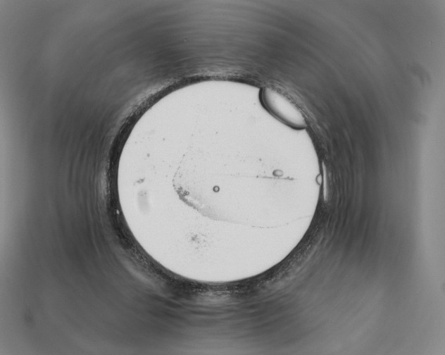 X0000111930252200909071244