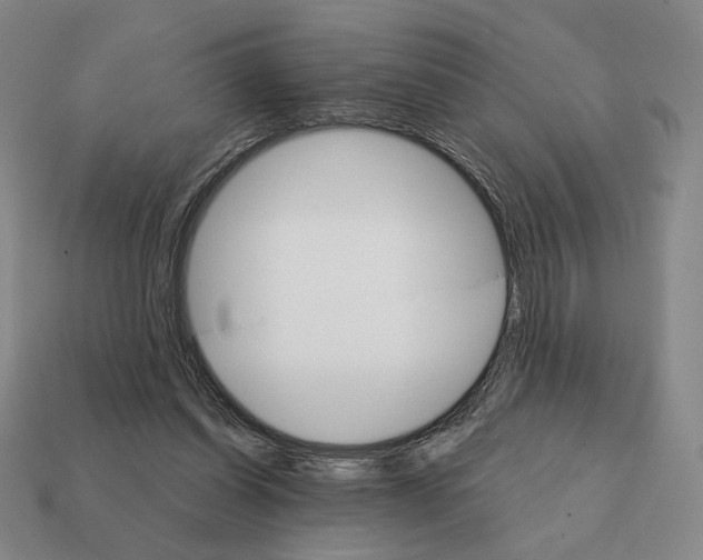 X0000111930254200909071244