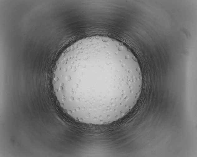 X0000111930255200909071244