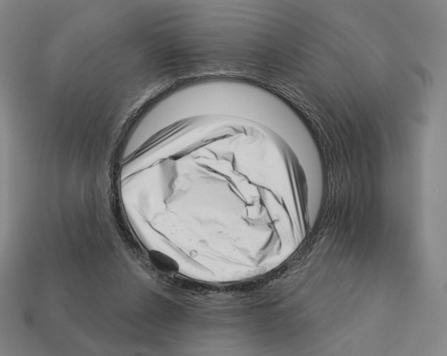 X0000111930256200909071244