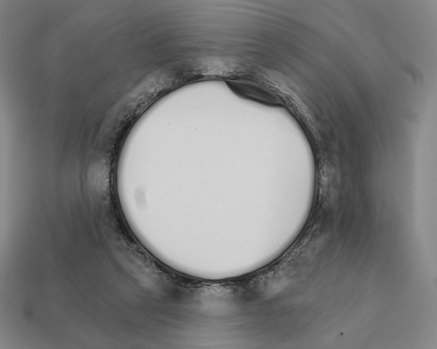 X0000111930257200909071244