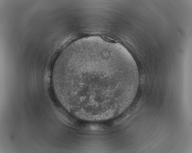 X0000111930264200909071244