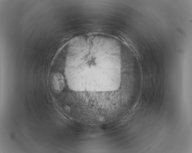 X0000111930265200909071244