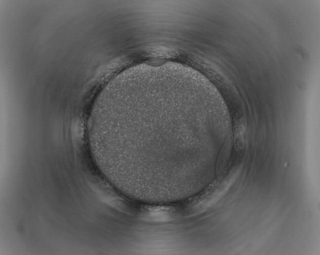 X0000111930268200909071244