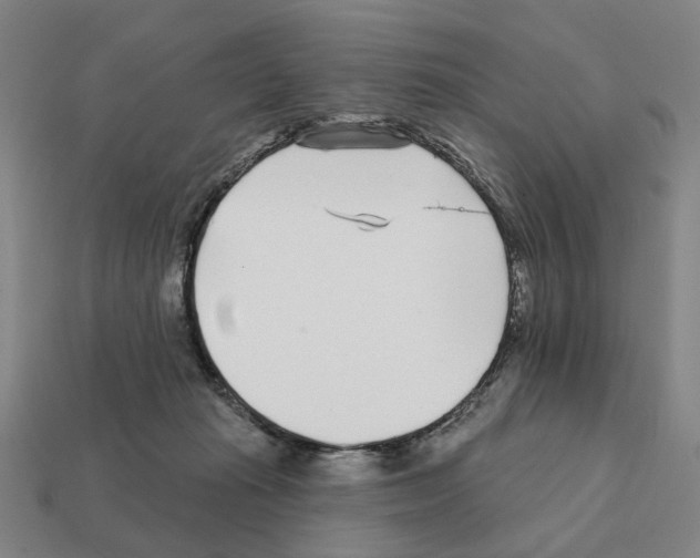 X0000111930269200909071244