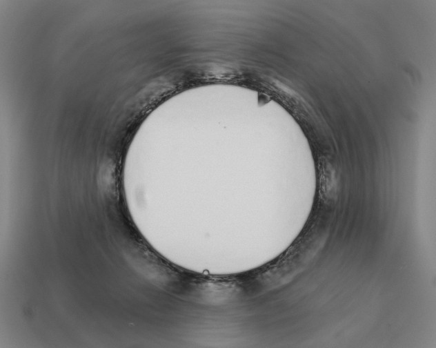 X0000111930270200909071244