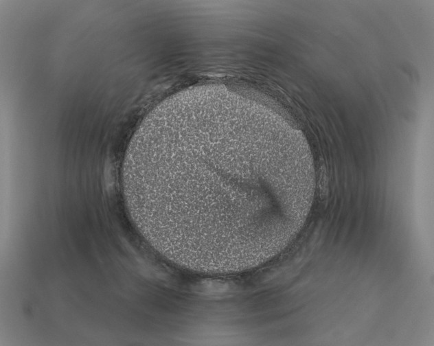 X0000111930272200909071244