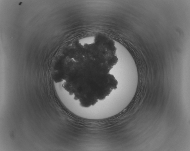 X0000111930274200909071244