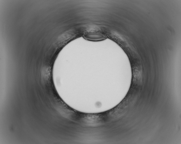 X0000111930278200909071244