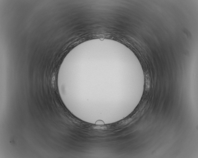 X0000111930279200909071244