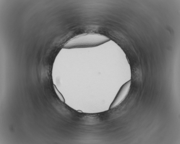 X0000111930280200909071244