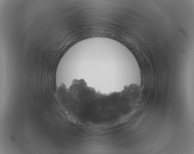 X0000111930282200909071244