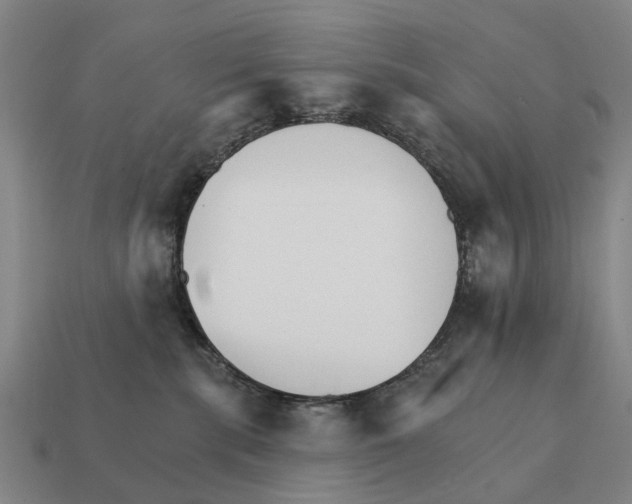 X0000111930283200909071244