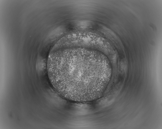 X0000111930284200909071245