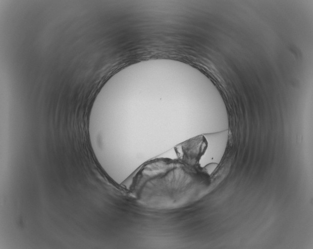 X0000111930285200909071245