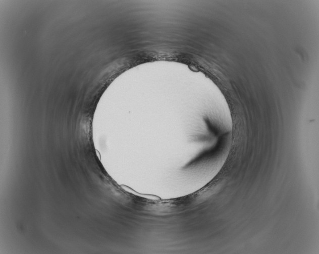 X0000111930288200909071245