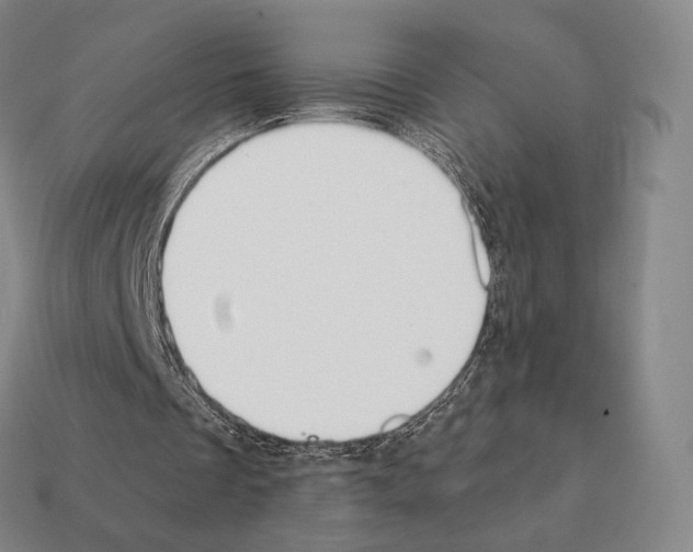 X0000111930289200909071244